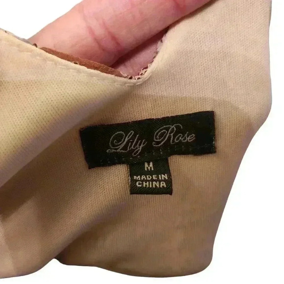 Lily Rose Long Mazi Dress Flare Sleeve Size M Neutral Colors Sheer With Lining - Picture 4 of 16